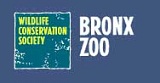 bronx-zoo