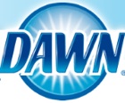 Logo for Dawn Dish Soap