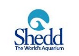 shedd-aquarium